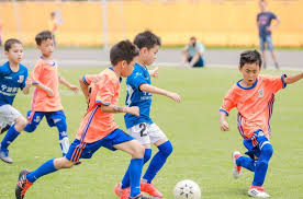 bsports官网 室外足球体育器材